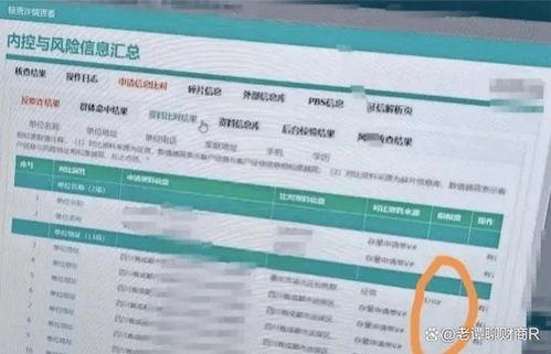 农行银行最新爆料,揭秘金融科技助力乡村振兴战略新篇章”  第3张